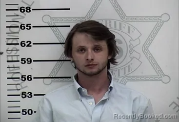 Mugshot of DAVIS EVERETT MATTHEWS