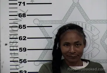 Mugshot of APRIL DAWN OWENS
