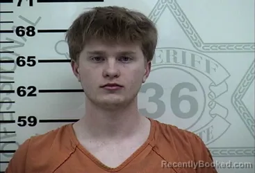 Mugshot of JOHN STEELE LOVETT