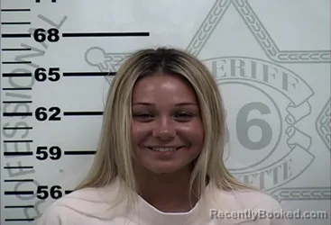 Mugshot of DEVIN MARIE FISHER