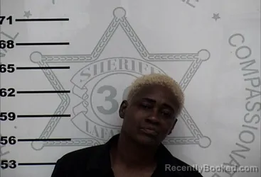 Mugshot of ASHLEY NICOLE WELLS