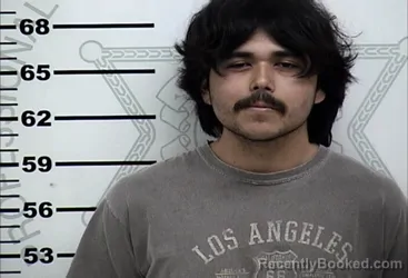 Mugshot of ALAN BARAJAS