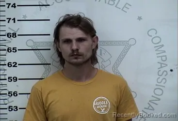 Mugshot of RYAN SCOTT HOLLINGER