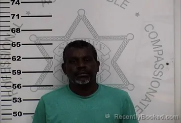 Mugshot of MICHAEL LEE HOUSTON