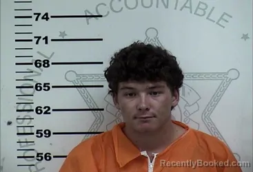 Mugshot of WILLIAM ROBERT BURNETTE