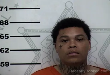 Mugshot of KESHAWN DANNER