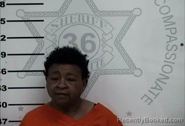 Mugshot of LEISA JOE JOHNSON booked in Lafayette County, Mississippi on April 5, 2026