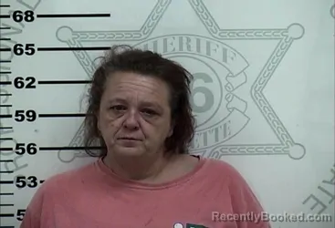Mugshot of SHERRY ANNE MONROE booked in Lafayette County, Mississippi on July 21, 2026