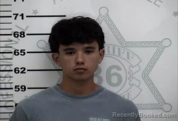 Mugshot of Jayden David Romines booked in Lafayette County, Mississippi on August 25, 2026