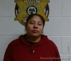 Mugshot of SHEILA WILLIS