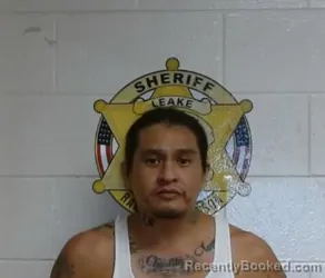 Mugshot of GRANTHAN STEVE