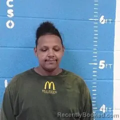 Mugshot of DARIEN S MCGHEE booked in Lincoln County, Mississippi on March 31, 2026