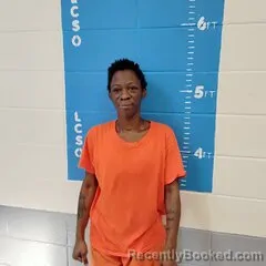 Mugshot of WHITLEE M MAY