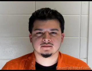 Booking photo from Lowndes County, Mississippi