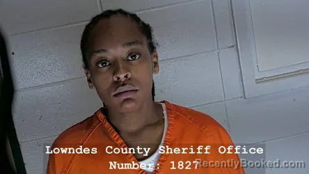 Mugshot of DELAINEE HILYAH BLAIR booked in Lowndes County, Mississippi on June 13, 2026