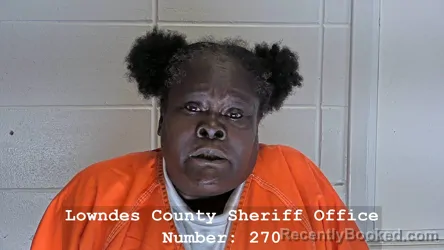 Mugshot of EMMA JEAN CONNER booked in Lowndes County, Mississippi on May 14, 2026