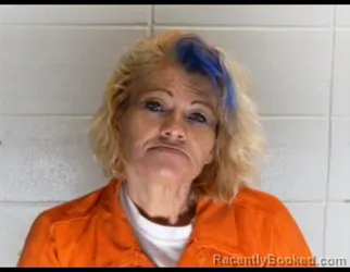 Mugshot of AELISHIA MICHELLE HORN RYAN