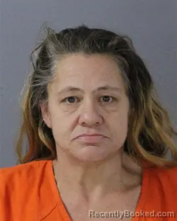 Mugshot of DONNA JEAN MANNING