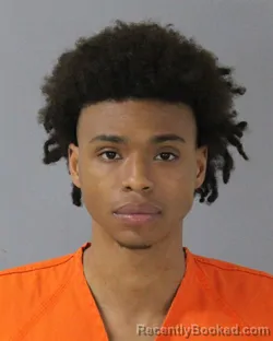 Mugshot of JOHNNIE LEE MCDONALD booked in Madison County, Mississippi on March 30, 2026