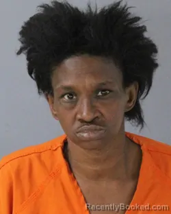 Mugshot of ERIN MARIE BURNS