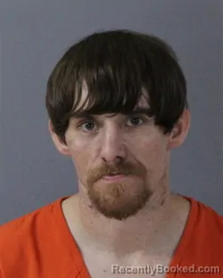 Mugshot of TAYLOR HADEN KING