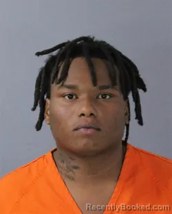 Mugshot of MONTERRIUS TRAVION PAGE
