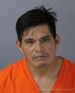 Mugshot of ERLES NOLVERTO MATHEU