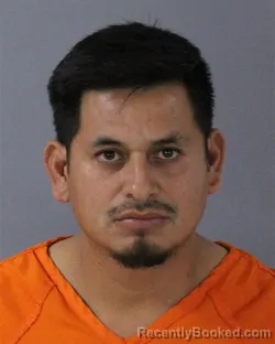 Mugshot of SERAPIO ARMENTA-PITA
