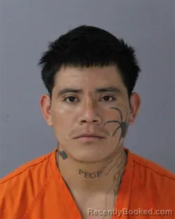 Mugshot of ELIAS PAIZ-TADEO