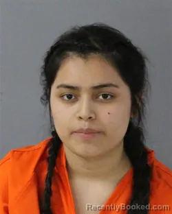 Mugshot of NILVIA CHACON-AUXUME