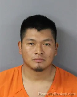 Mugshot of ELMER RAMIREZ-GARRIL