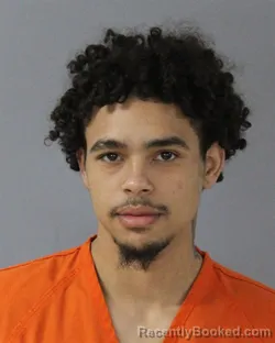 Mugshot of BRADLEE JAMES HARRISON booked in Madison County, Mississippi on March 10, 2026