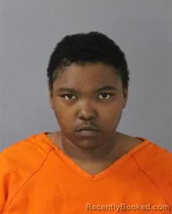 Mugshot of JOHNTAJA SHONTIANNA BREA NORWOOD booked in Madison County, Mississippi on March 16, 2026