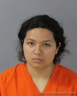 Mugshot of HEYDI ALEMAN-ESTRADA booked in Madison County, Mississippi on March 29, 2026