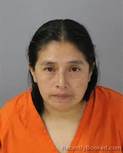 Mugshot of ALEJANDRA CARILLO-VELASQUEZ booked in Madison County, Mississippi on July 3, 2026