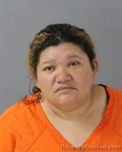 Mugshot of MARIA ROMERO- LOPEZ booked in Madison County, Mississippi on July 5, 2026