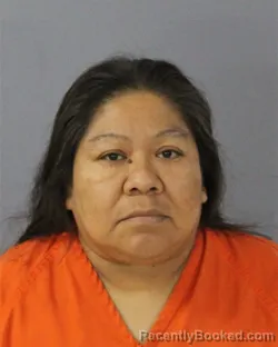 Mugshot of Ana Reyes-Elpidio booked in Madison County, Mississippi on August 15, 2026