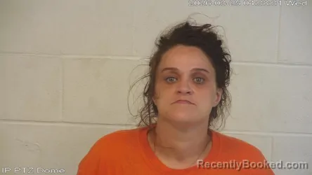 Mugshot of Ashley Michelle Burrough