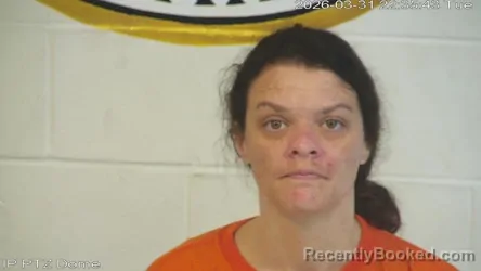 Mugshot of Ashley Irene Collins