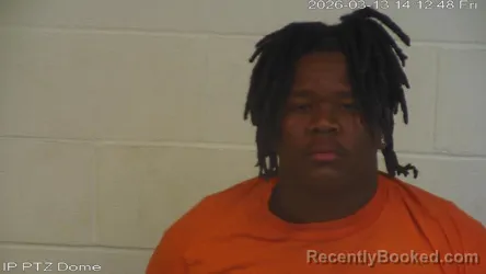 Mugshot of Bricelan Donnell Johnson