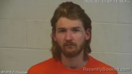 Mugshot of Brandon Aaron Johnson