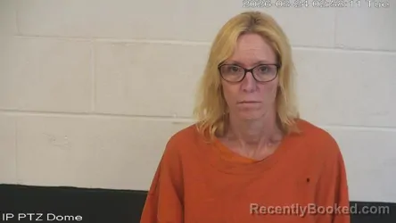 Mugshot of Bridget Nicole Newman