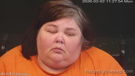 Mugshot of Christina Lee Hill