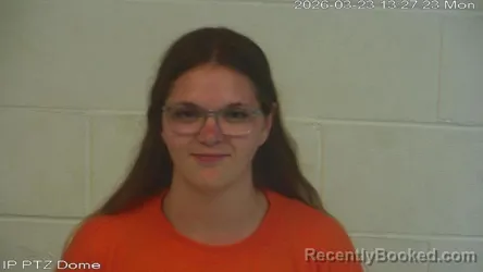 Mugshot of Desiree Michelle Fields