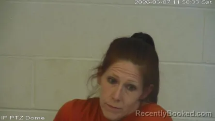 Mugshot of Deana Ann Darnell Wilson