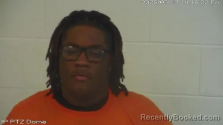 Mugshot of Mashun Lyndell Anderson