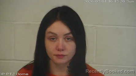 Mugshot of Megan Michelle Lovett