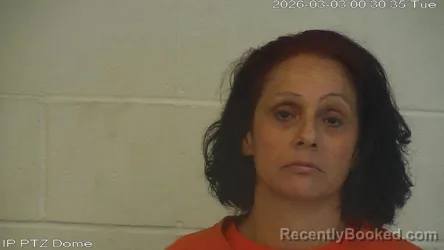 Mugshot of Tina Louise Slocum