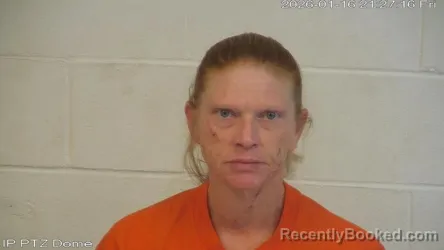 Mugshot of Vanessa Lynn Sistrunk