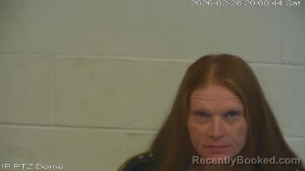 Mugshot of Vanessa Lynn Sistrunk